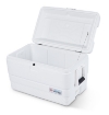 Bild von Igloo Marine Ultra 54 Kühler (51 Liter)