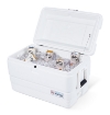 Bild von Igloo Marine Ultra 54 Kühler (51 Liter)