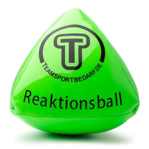 Bild von Trainingstorwart Prismenball