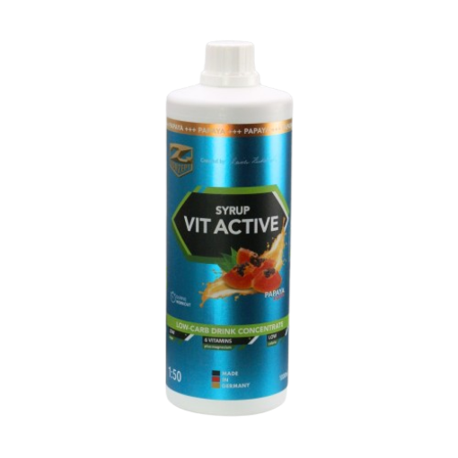 Bild von VITACTIVE-SIRUP + L-CARNITIN - 1000ML PAPAYA