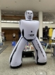 Bild von Aufblasbare Sumo-Puppe 200 cm